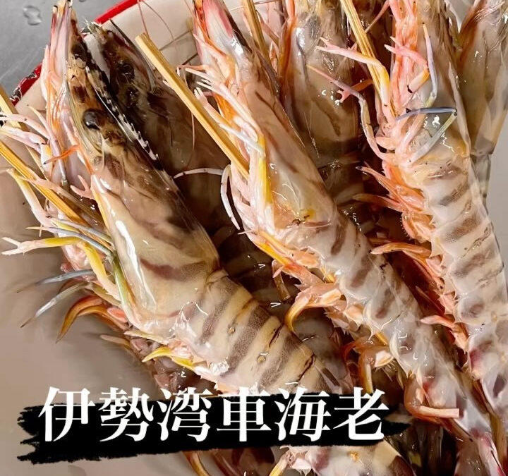 今回ご紹介するのは…『車海老の握り』