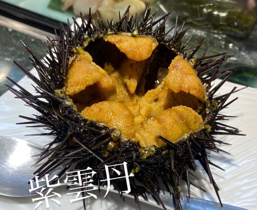 本日ご紹介するのは見た目から美しい『紫雲丹』！✨