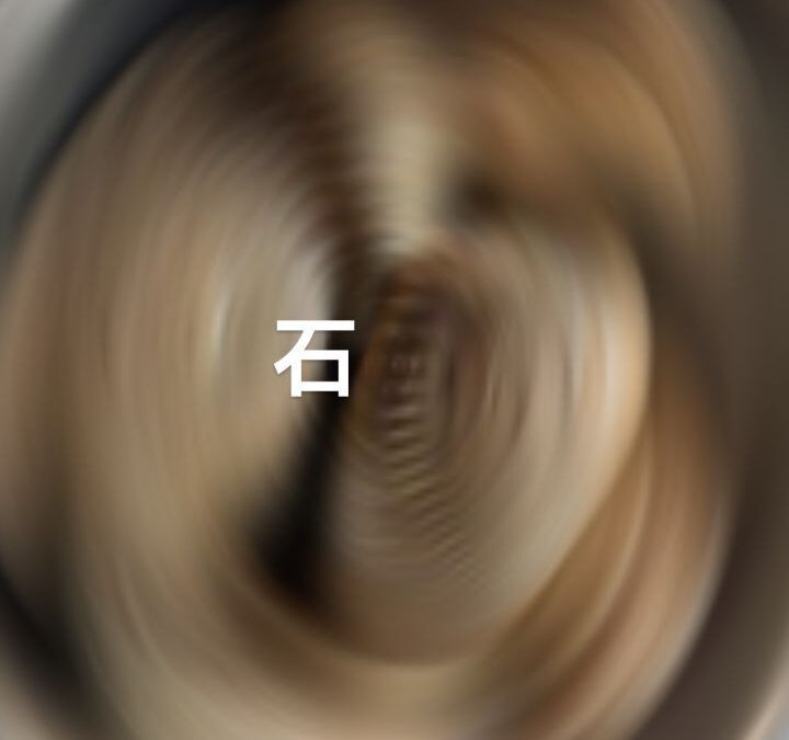 本日ご紹介するのは石垣貝です✨