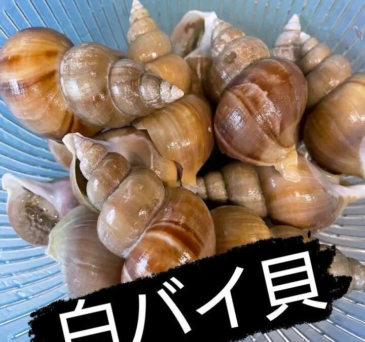 こんばんは！お仕事お疲れ様です☺️