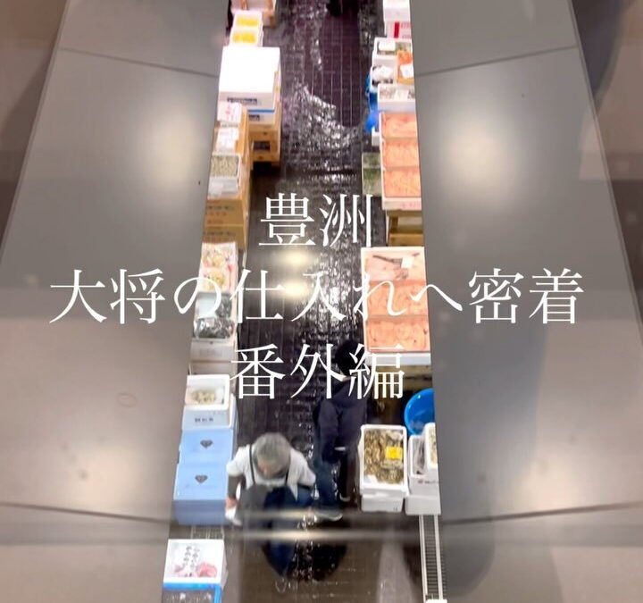 【豊洲密着】part.4 番外編（豊洲探検）