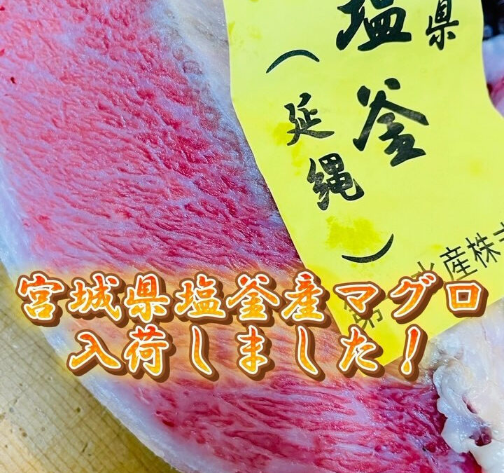 宮城県塩釜産マグロ入荷しました