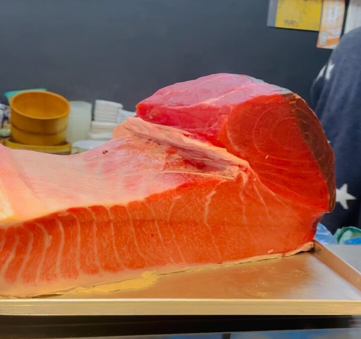 塩釜産のマグロが入荷しました