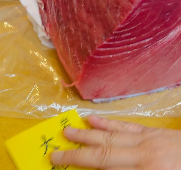 岩手県大船渡産マグロです