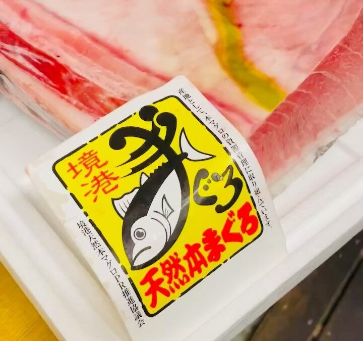 鳥取県境港産のマグロです！