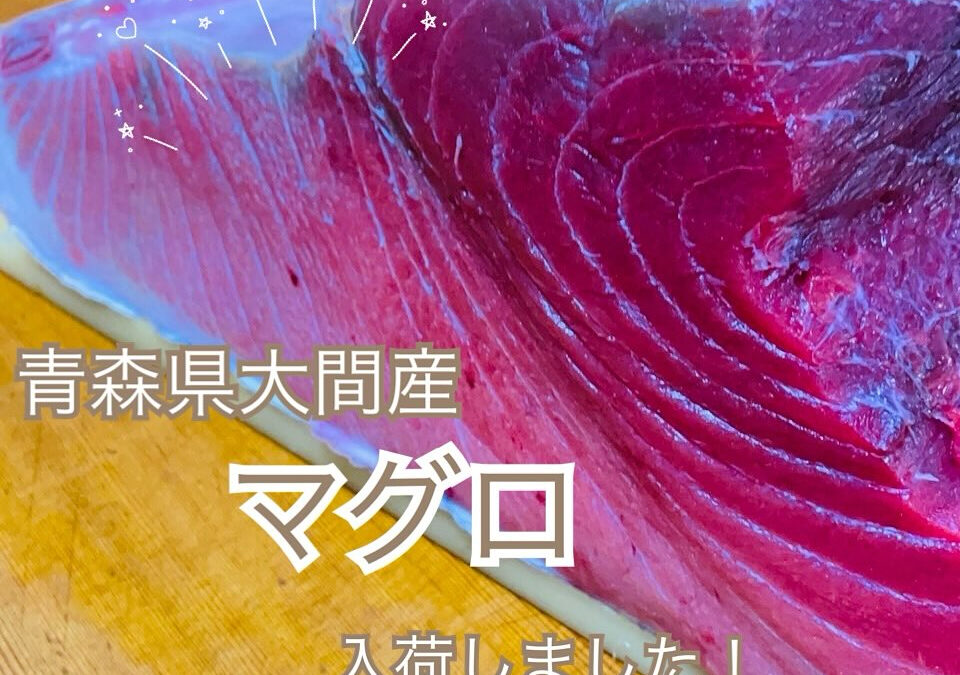 大間のマグロが入荷しました！