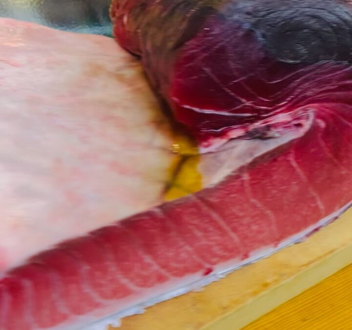 今回のマグロも境港産です！