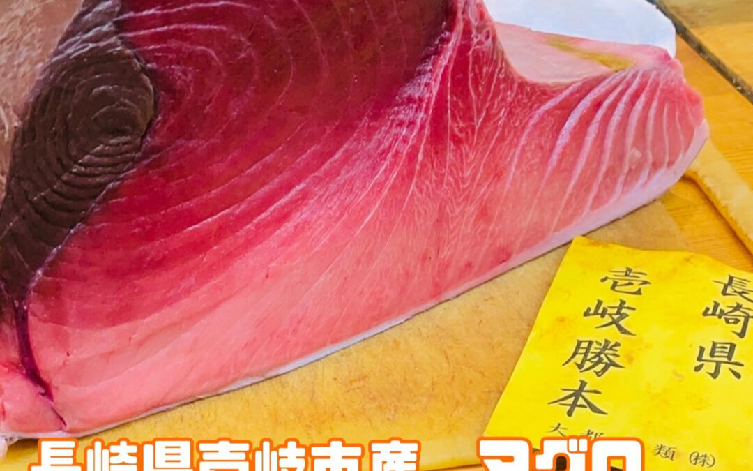 長崎県産のマグロです
