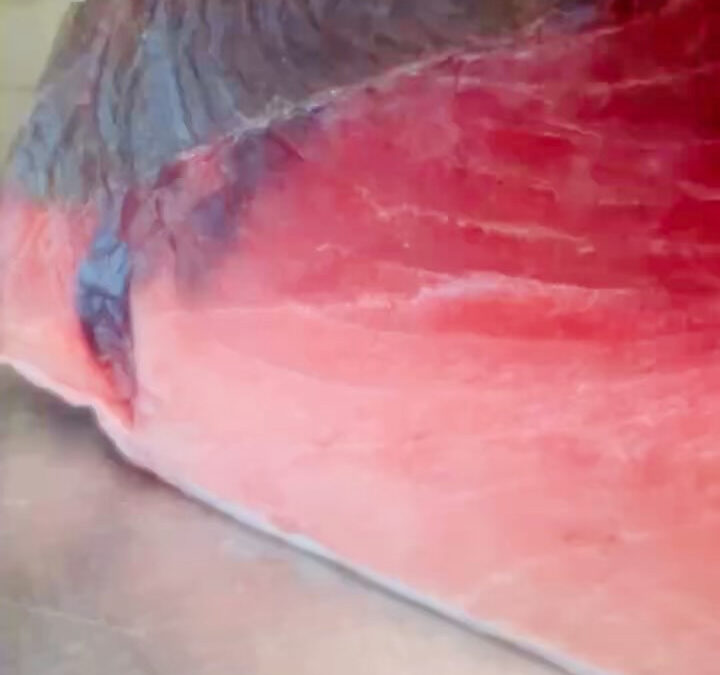 今回は塩釜産です☺️