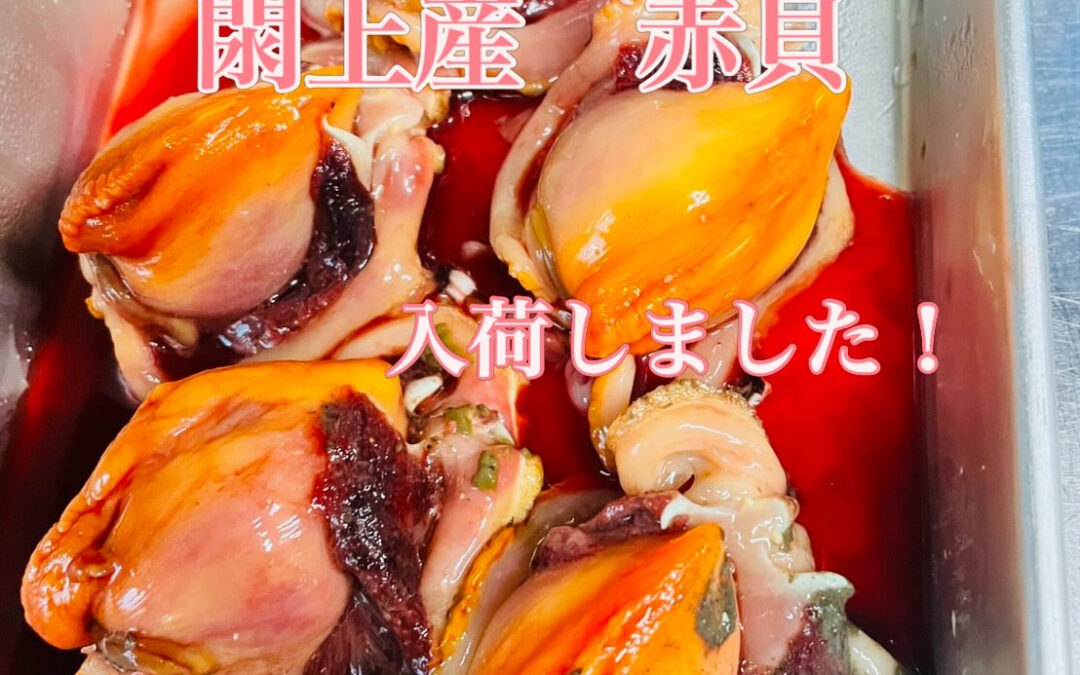 日本一の閖上の赤貝が入荷いたしました